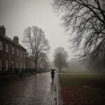 Meryn am Montag – ORF zu SAD und BLT